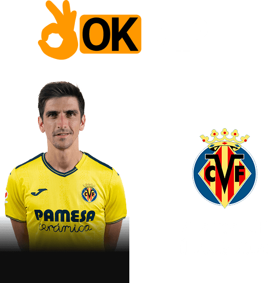 พันธมิตรกับ OKVIP - 3