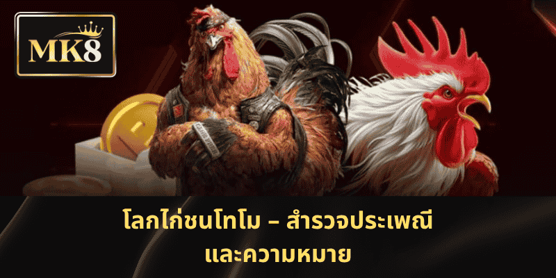 โลกไก่ชนโทโม – สำรวจประเพณีและความหมาย